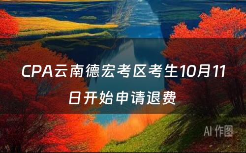 CPA云南德宏考区考生10月11日开始申请退费 