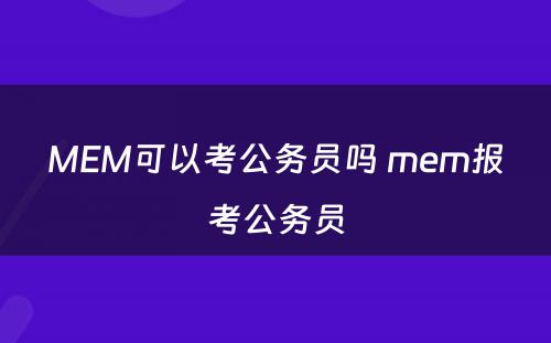 MEM可以考公务员吗 mem报考公务员