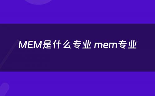 MEM是什么专业 mem专业