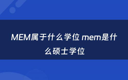 MEM属于什么学位 mem是什么硕士学位