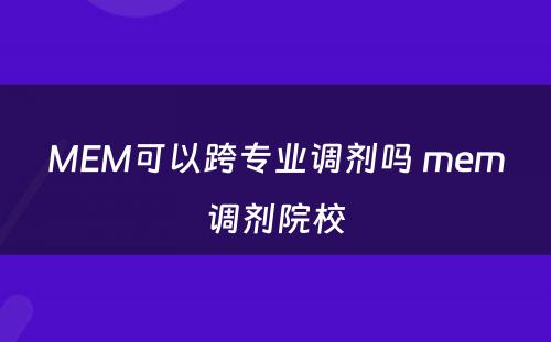 MEM可以跨专业调剂吗 mem调剂院校