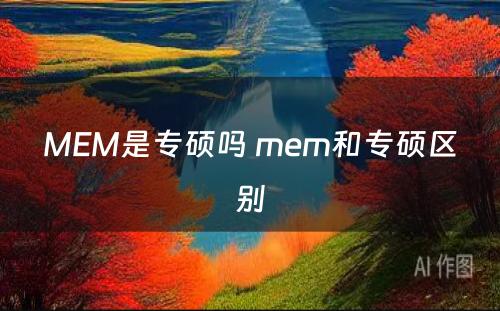 MEM是专硕吗 mem和专硕区别