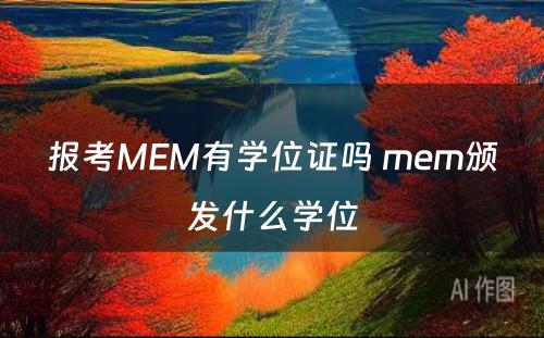 报考MEM有学位证吗 mem颁发什么学位