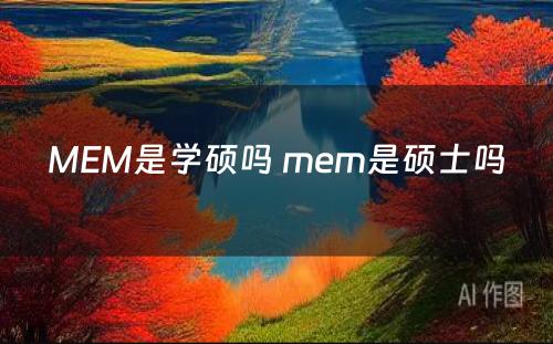 MEM是学硕吗 mem是硕士吗