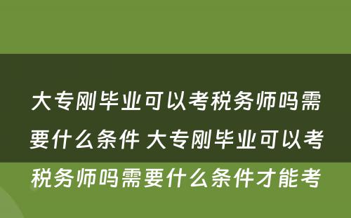 大专刚毕业可以考税务师吗需要什么条件 大专刚毕业可以考税务师吗需要什么条件才能考