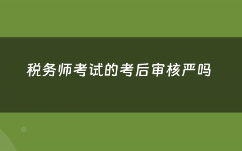 税务师考试的考后审核严吗 