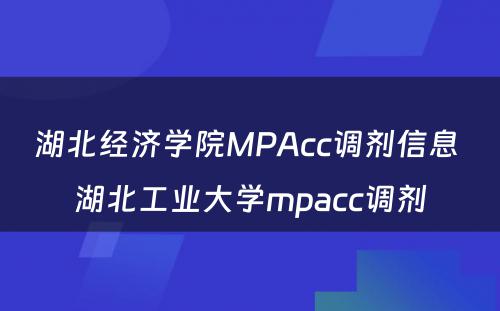 湖北经济学院MPAcc调剂信息 湖北工业大学mpacc调剂