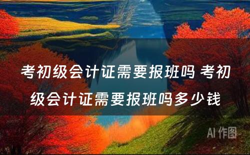 考初级会计证需要报班吗 考初级会计证需要报班吗多少钱