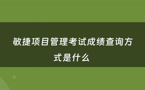 敏捷项目管理考试成绩查询方式是什么 