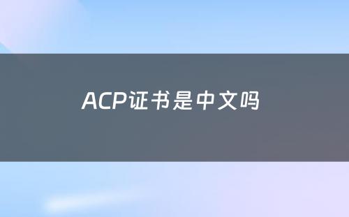 ACP证书是中文吗 