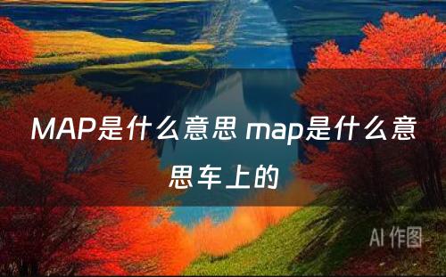 MAP是什么意思 map是什么意思车上的