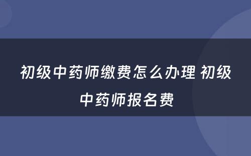 初级中药师缴费怎么办理 初级中药师报名费