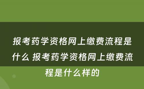 报考药学资格网上缴费流程是什么 报考药学资格网上缴费流程是什么样的