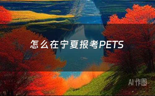 怎么在宁夏报考PETS 