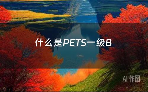 什么是PETS一级B 