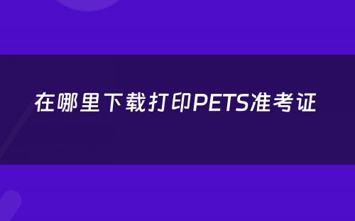 在哪里下载打印PETS准考证 