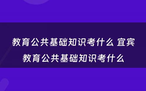 教育公共基础知识考什么 宜宾教育公共基础知识考什么