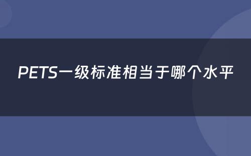 PETS一级标准相当于哪个水平 