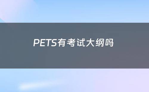 PETS有考试大纲吗 