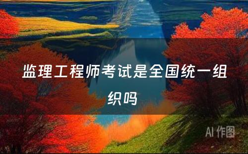 监理工程师考试是全国统一组织吗 