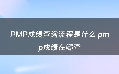 PMP成绩查询流程是什么 pmp成绩在哪查