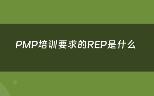 PMP培训要求的REP是什么 