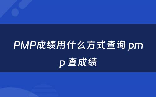 PMP成绩用什么方式查询 pmp 查成绩