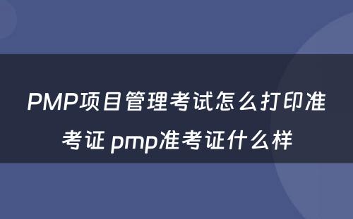 PMP项目管理考试怎么打印准考证 pmp准考证什么样
