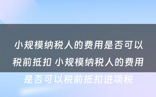 小规模纳税人的费用是否可以税前抵扣 小规模纳税人的费用是否可以税前抵扣进项税