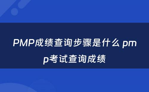 PMP成绩查询步骤是什么 pmp考试查询成绩