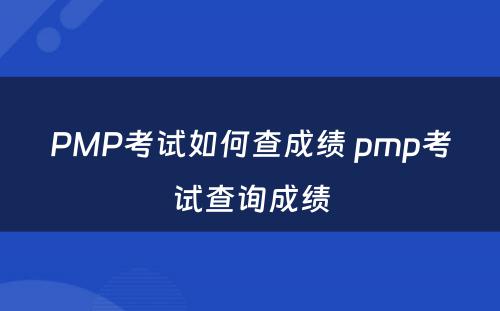 PMP考试如何查成绩 pmp考试查询成绩