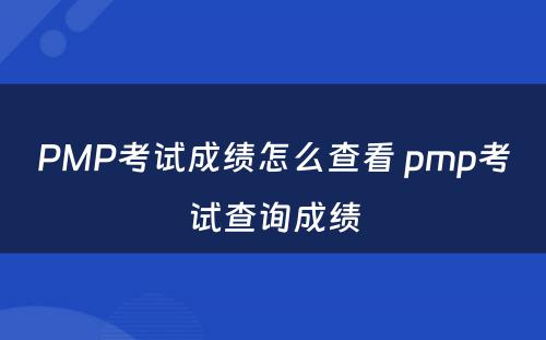 PMP考试成绩怎么查看 pmp考试查询成绩