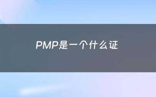 PMP是一个什么证 