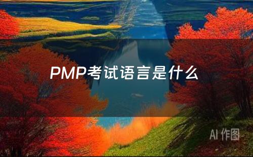 PMP考试语言是什么 