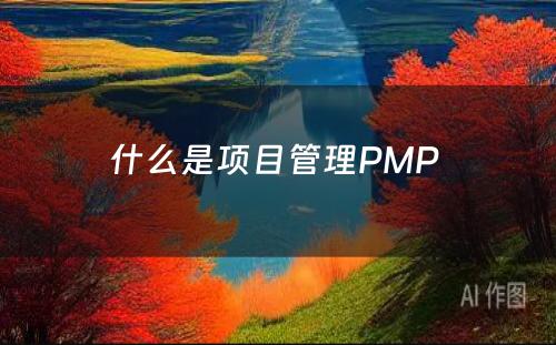 什么是项目管理PMP 