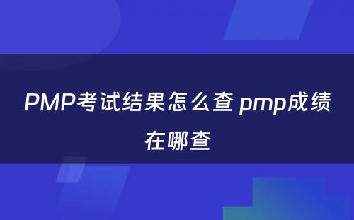 PMP考试结果怎么查 pmp成绩在哪查