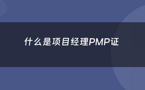 什么是项目经理PMP证 