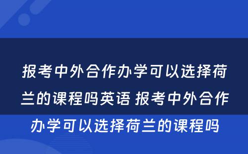 报考中外合作办学可以选择荷兰的课程吗英语 报考中外合作办学可以选择荷兰的课程吗