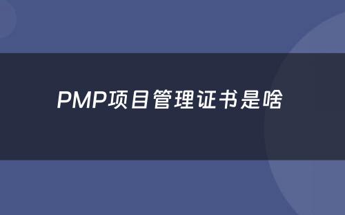 PMP项目管理证书是啥 