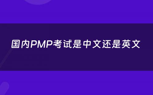 国内PMP考试是中文还是英文 