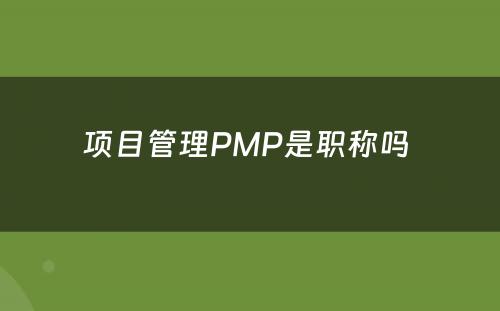 项目管理PMP是职称吗 