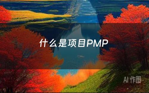 什么是项目PMP 
