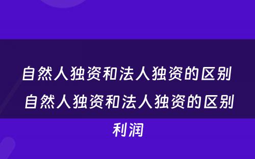 自然人独资和法人独资的区别 自然人独资和法人独资的区别利润