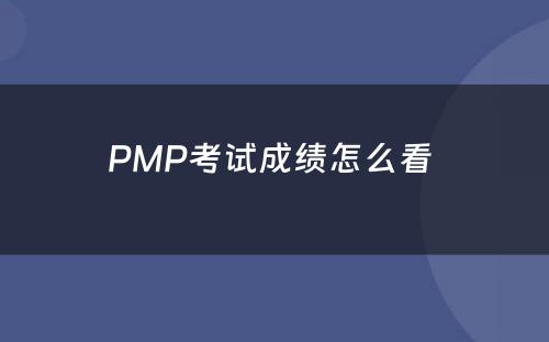 PMP考试成绩怎么看 