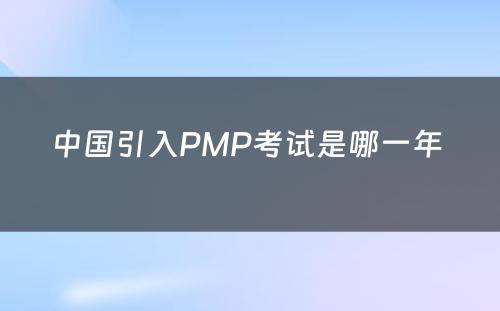 中国引入PMP考试是哪一年 