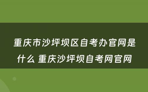 重庆市沙坪坝区自考办官网是什么 重庆沙坪坝自考网官网