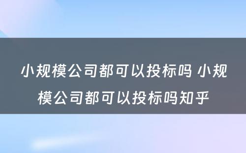 小规模公司都可以投标吗 小规模公司都可以投标吗知乎