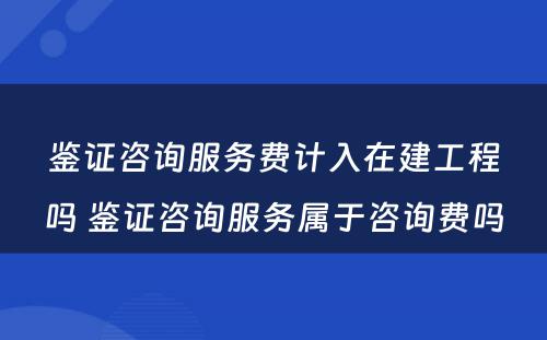 鉴证咨询服务费计入在建工程吗 鉴证咨询服务属于咨询费吗