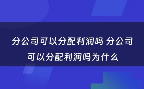 分公司可以分配利润吗 分公司可以分配利润吗为什么