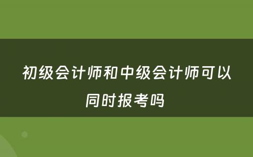 初级会计师和中级会计师可以同时报考吗 